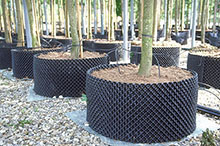 P�pini�re Production